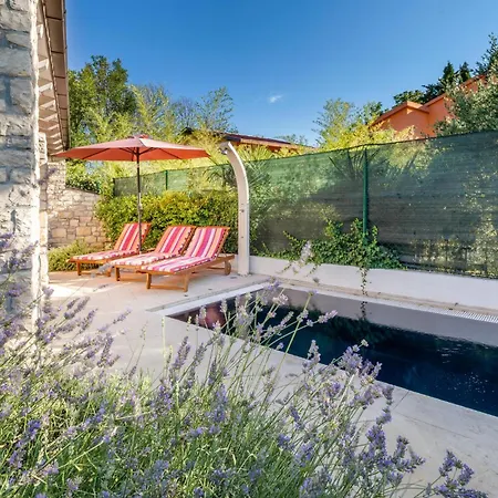 Ferienhaus Pet Friendly In Fažana